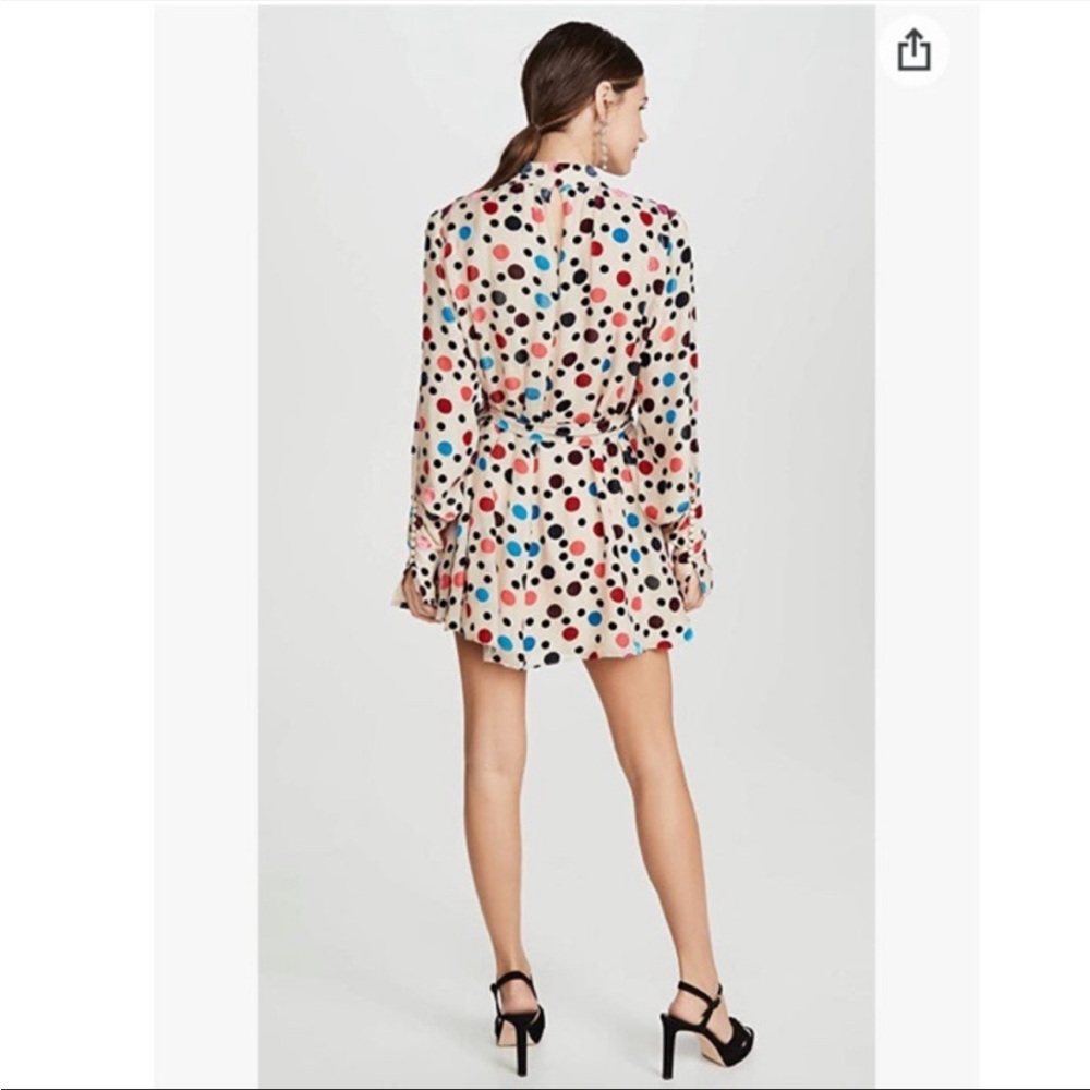 Saloni Mini Dress - Picture 3 of 9